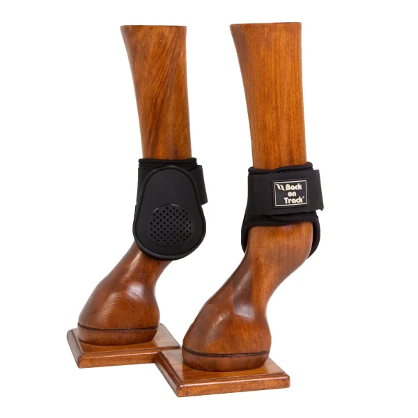 Royal Ankle Boots Bakbensskydd